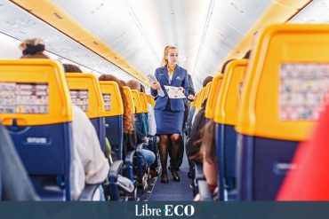 Ryanair recruits cabin crew for its Belgian bases