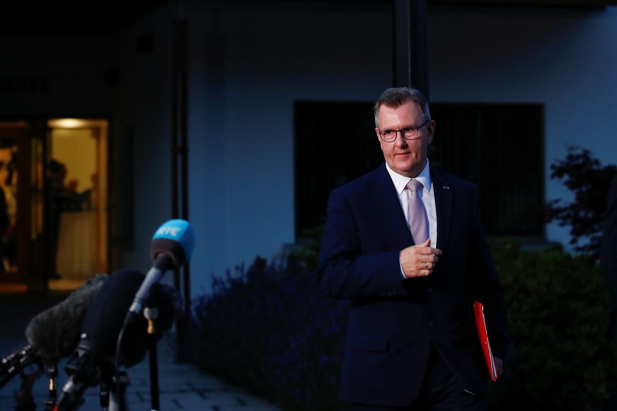 Sir Jeffrey Donaldson has been approved as the new DUP leader

