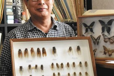 Insects Children's Moving Insects Museum Director, Mitsuharu Okuma: Tokyo Shimbon Tokyo Web