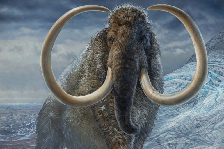 17,000 years ago in the path of a woolly mammoth