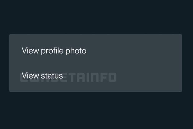 These are the new options that WhatsApp offers when you click on a profile photo of any contact.  (Photo: WABeta Info)