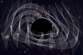 Gravitational waves can reveal black holes using dark clothing