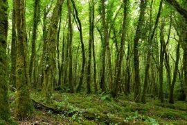 Ireland Discovery Italpress News Agency on Sustainability