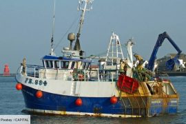 Brexit: Michael Barnier condemns United Kingdom's volatility in fishing!