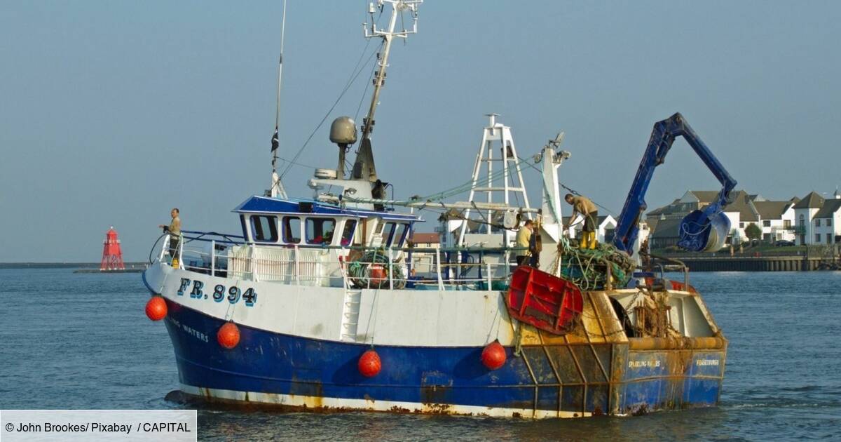Brexit: Michael Barnier condemns United Kingdom's volatility in fishing!

