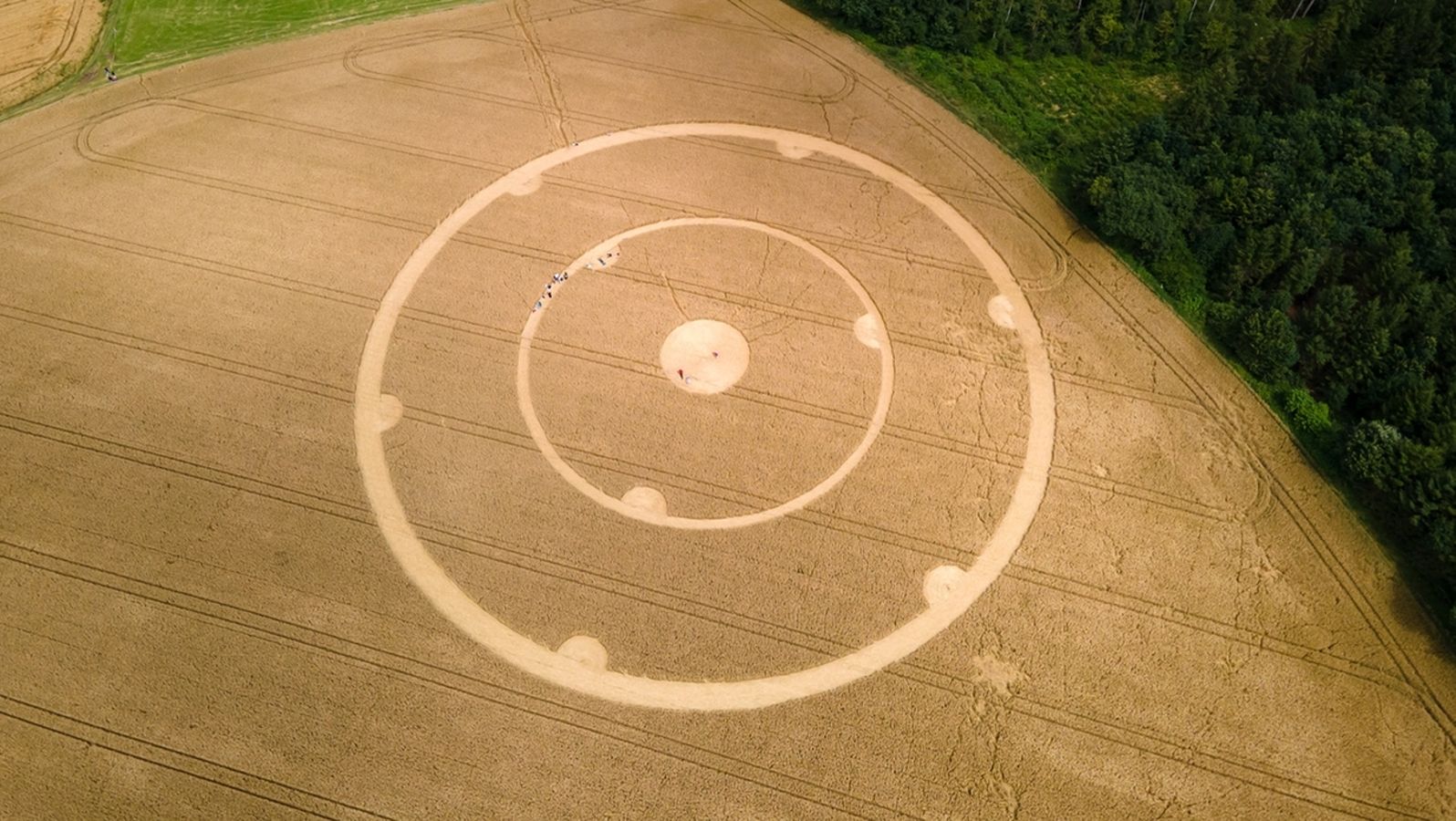 Crop circles: natural phenomenon, myth or man-made?

