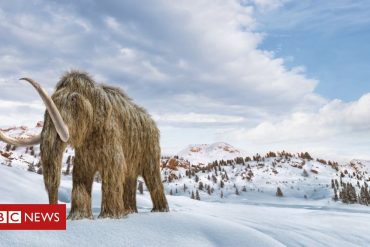 Can mammoths be 'revived' to fight climate change?