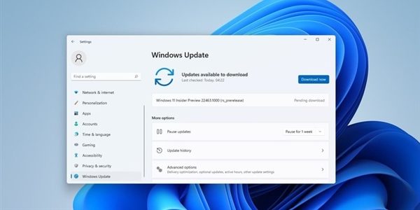 Lazy bag!  List of content and known issues updated in the latest version of Win11!  |  XFastest News