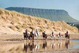Immerse yourself in the heart of Ireland with travel professionals and acceptable alignment tours