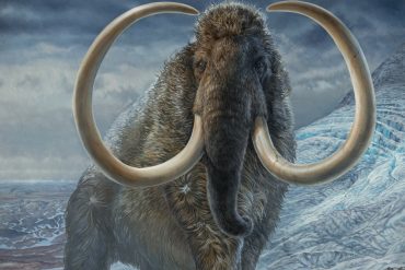 United States |  The company aims to recreate woolly mammoths
