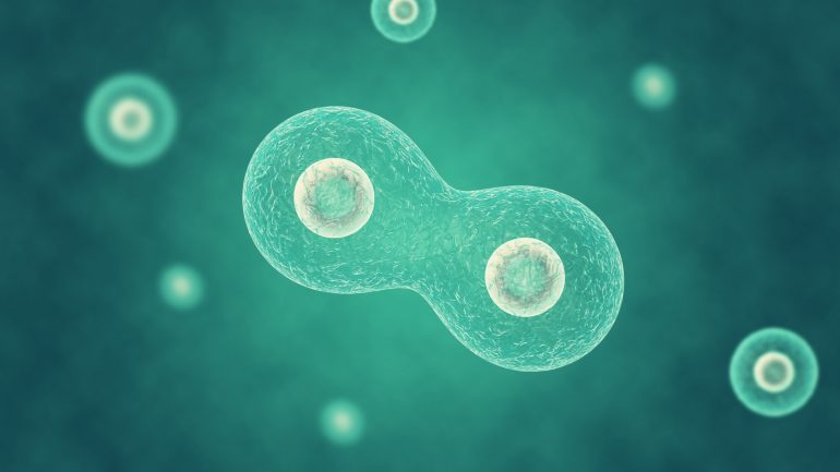 מנגנון פשוט יוכל להסביר את הצמיחה והשכפול העצמי של קדם-תאים (protocells) – האבות הקדמונים המשוערים של תאים חיים מודרניים,