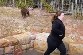 A woman has been sentenced to life in prison for the next encounter with a grizzly bear in Yellowstone Park