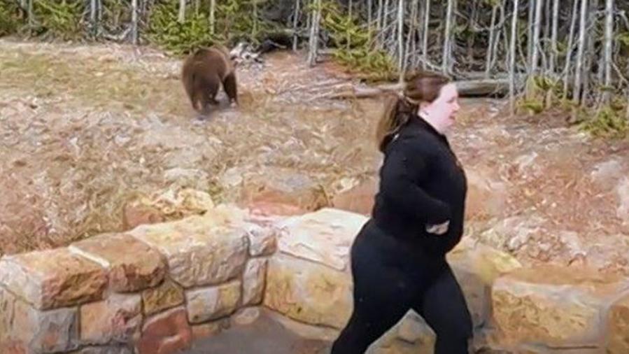 A woman has been sentenced to life in prison for the next encounter with a grizzly bear in Yellowstone Park

