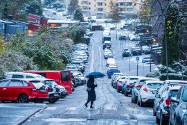 Weather, Snow |  Meteorologist: - Do not be afraid!  Tomorrow it will be double digits