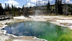 Tragedy at Yellowstone: Dog dies in a fountain and owners burn to save him