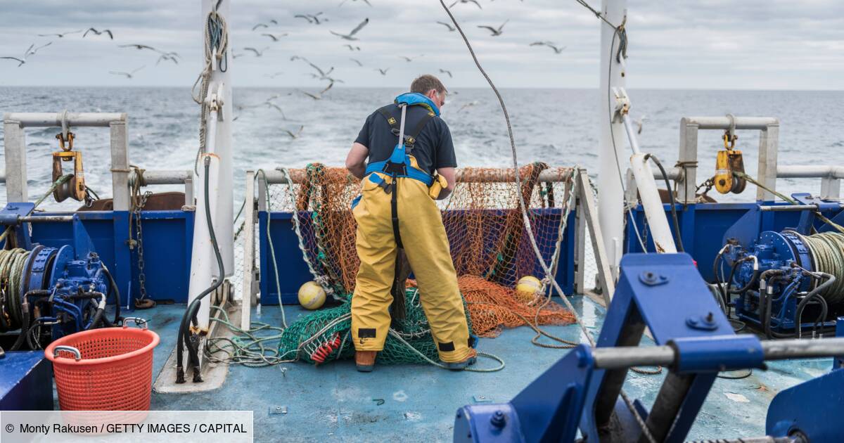 Brexit: UK France's ultimatum for fishing!

