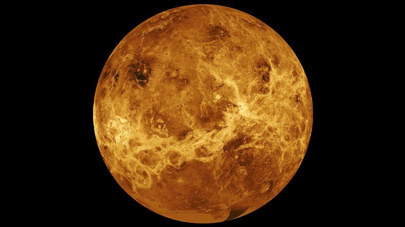 Photosynthesis is possible in the clouds of Venus

