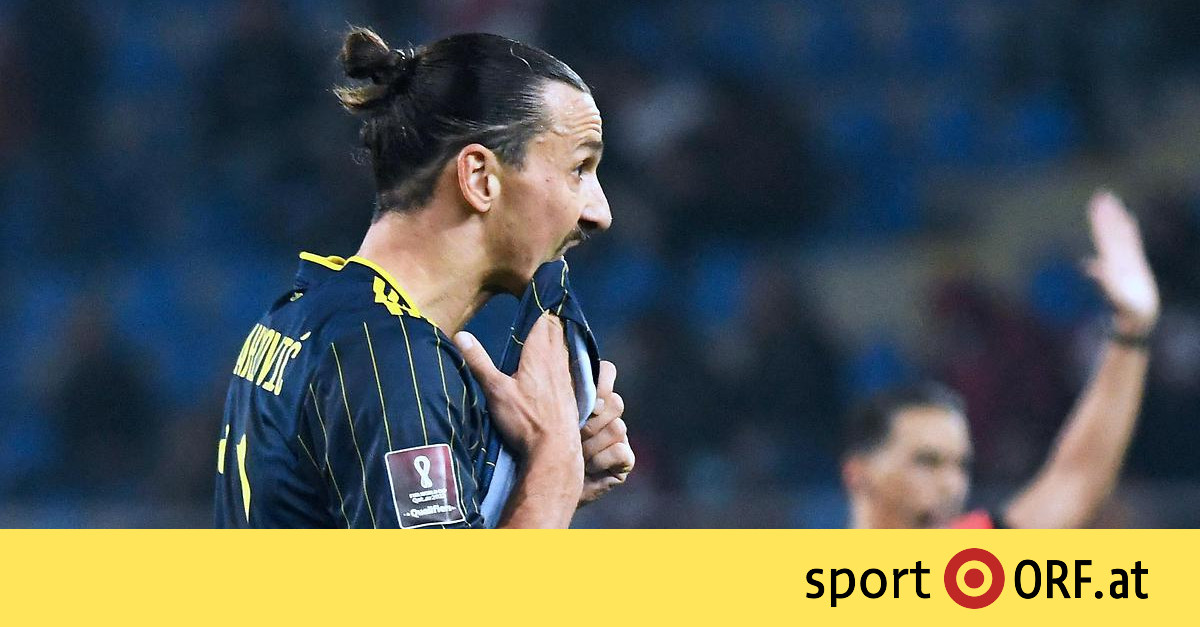 World Cup qualifier: Sweden lose in Georgia


