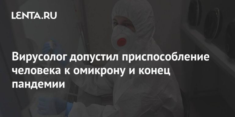 Virologist allows a person to adapt to omega, the end of an infectious disease: Society: Russia: Lenta.ru
