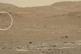 El róver Perseverance capta en video el vuelo de un helicóptero en Marte y las imágenes brindan "la vista más detallada" de la aeronave en acción