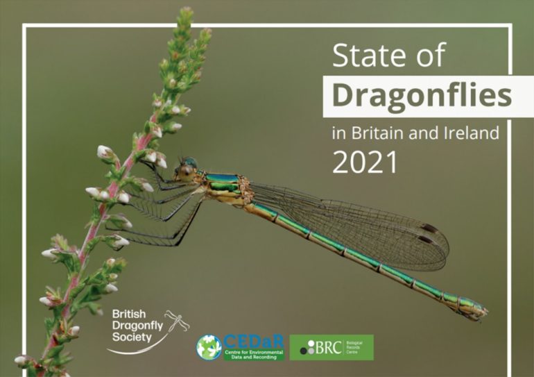 Dragonflies are on the rise in Great Britain and Ireland.  But that is not good news