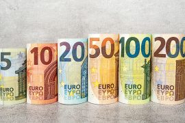 Which image should be included in the new Euro notes?