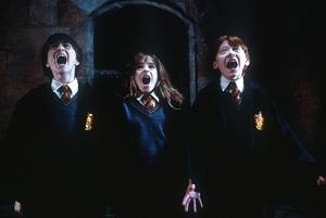 Daniel Radcliffe, Emma Watson, Rupert Grint in a scene from Harry Potter and the Philosopher's Stone