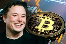 Elon Musk About Bitcoin Creator: Who Created Bitcoin?  Alan Muskini Reveals Secrets, Name Revealed - Marathi News |  Who created Bitcoin?  Elon Musk has revealed the secret name of Satoshi Nakamoto