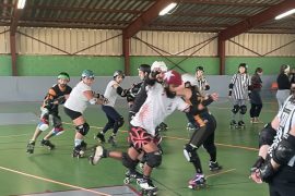 Narbonne: But what is a roller coaster derby?