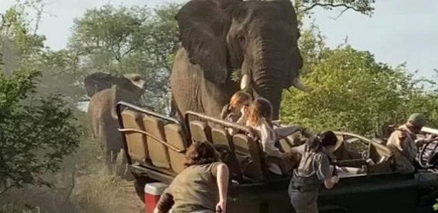 The video shows an elephant attacking a safari car in South Africa