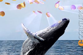 Bu Altcoin A Balinalar Milyarlarca Token Satın Aldı!  ›CoinTürk