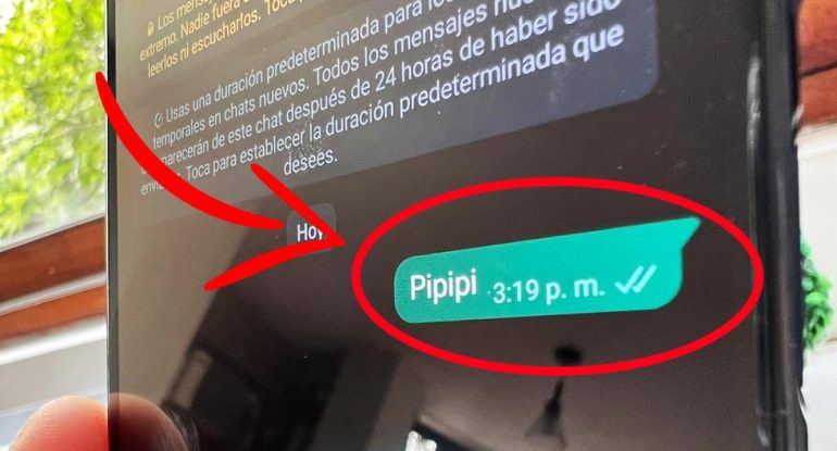 WhatsApp |  What is the significance of pipipi and how to use it |  Meme |  Chavo del 8 |  Smartphone |  Viral |  TikTok |  nnda |  nnni |  DEPOR-PLAY