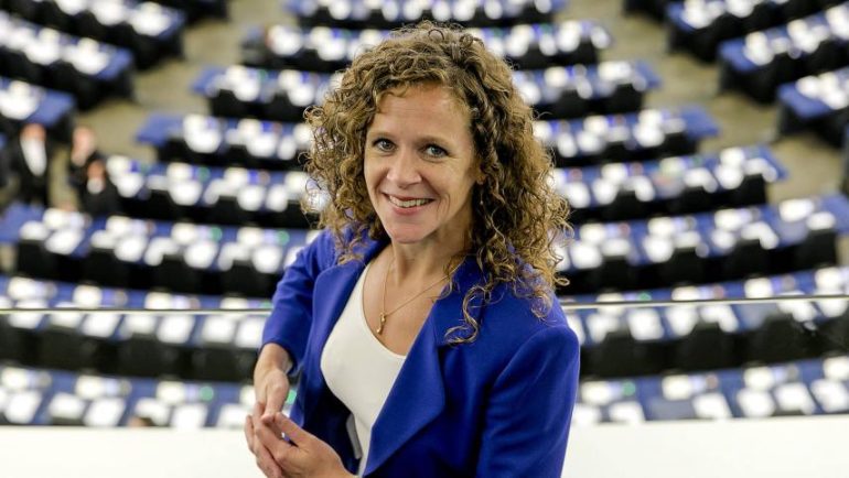 The reporter is Dutch MEP Sophie of T Weld.