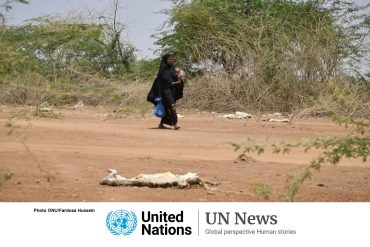 Somalia: Drought intensifies, increasing risk of famine