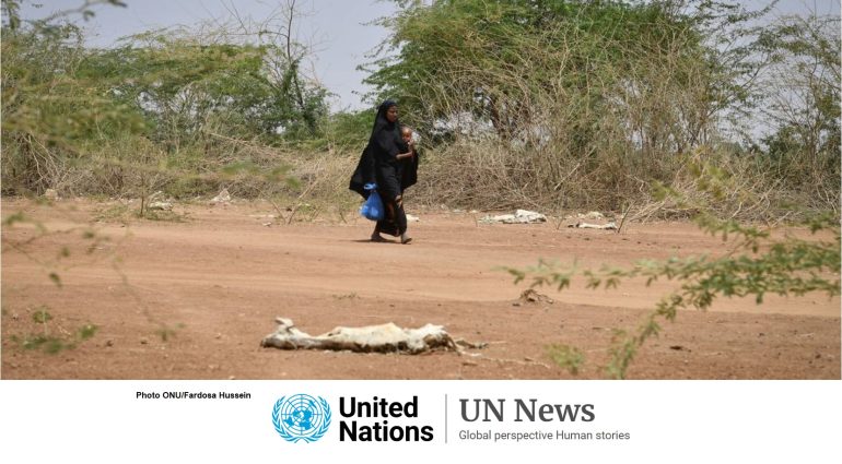 Somalia: Drought intensifies, increasing risk of famine