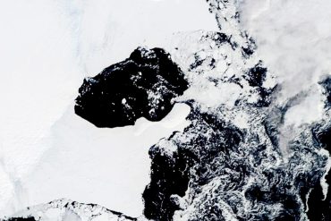 Scientists worried about sudden collapse of ice shelf in eastern Antarctica |  Sciences