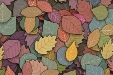 Visual puzzle: Find the frog in the leaves, so you know the details of your personality