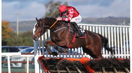 Punchstown 2022: Novice Hurdle Champion for "FR" Mighty Potter, son of Martini with golden eggs