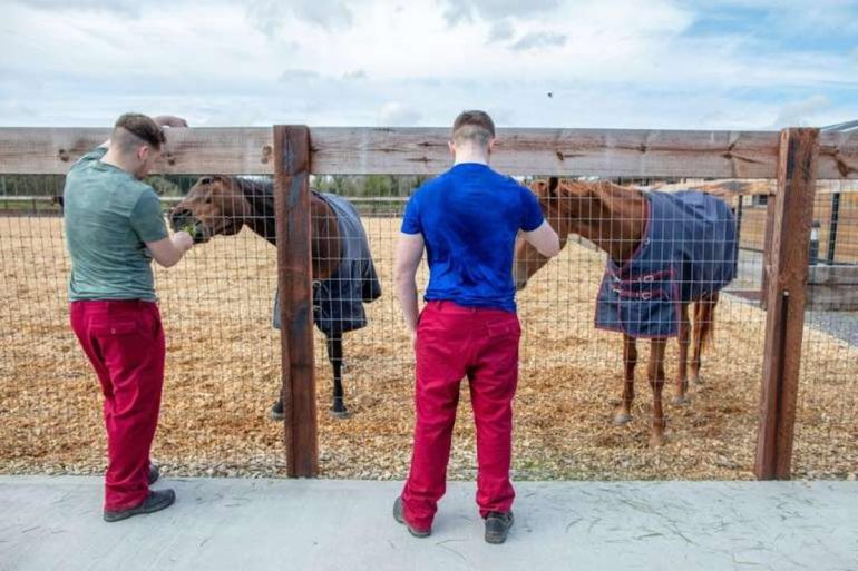 In Ireland, prisoners whisper in the ears of horses