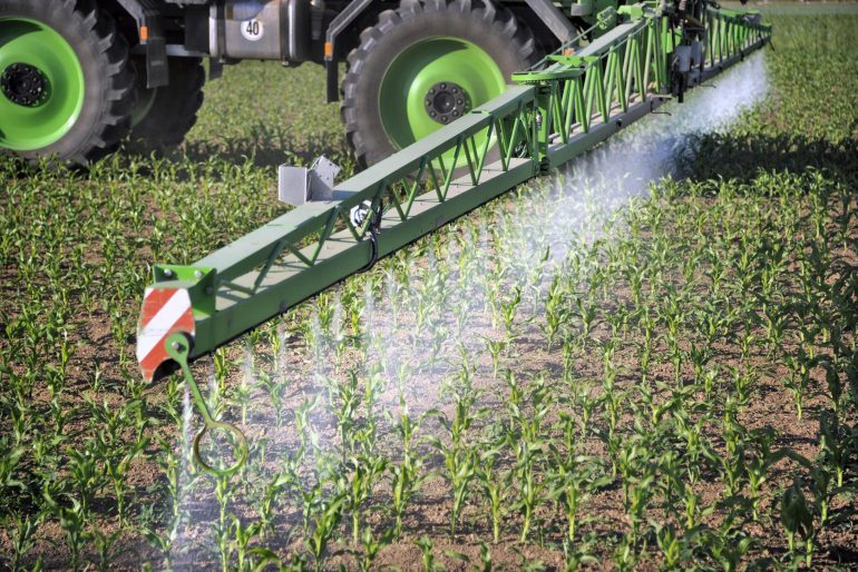 Glyphosate herbicide is not carcinogenic according to European Chemicals Agency