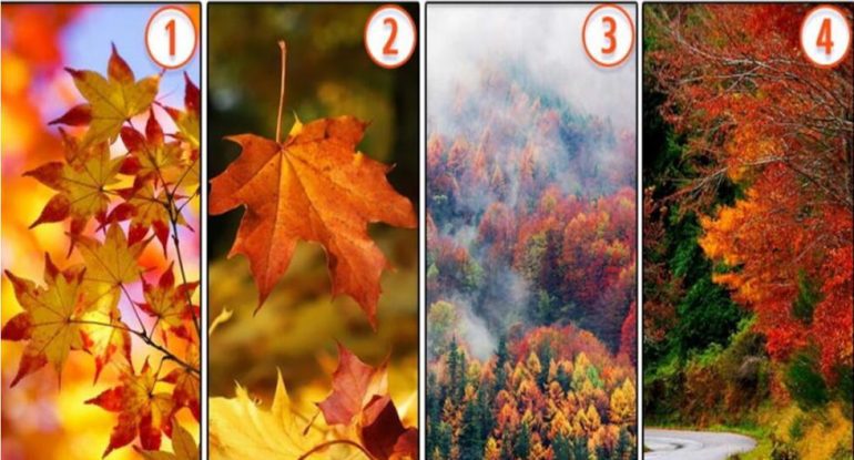 Choose an Autumn Landscape and you will find unique aspects about yourself in the personality test |  Psychological examination |  Viral |  Viral |  nnda nnrt |  Mexico