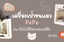 รีวิว เครื่องเป่าขนแมว PePe จาก Shopee ไอเทมที่ทำให้ชีวิตทาสแมวดีขึ้น ของมันต้องมี !