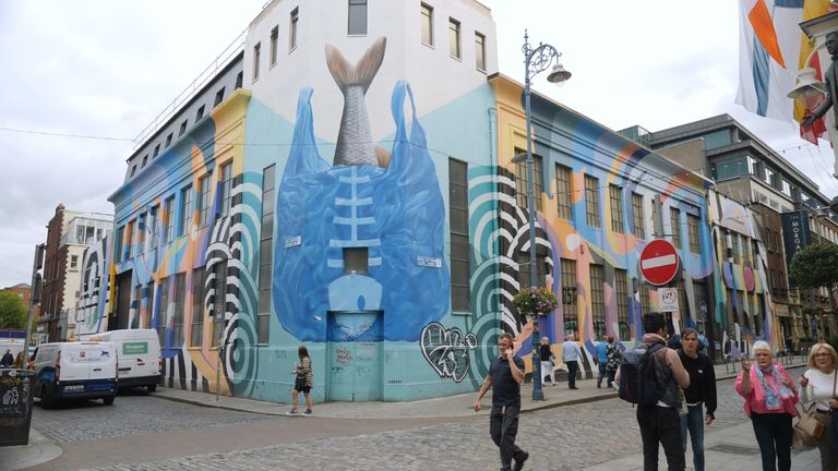 Portrait of Irish writer Stephen Murphy on a mural by Sir David Attenborough