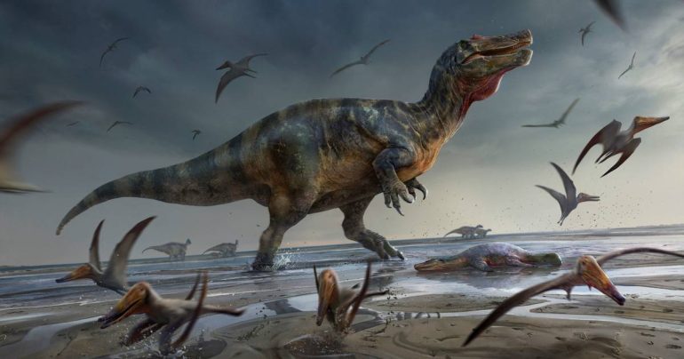 New Spinosaurus species found on the British Isles: "Probably the largest land predator ever found in Europe" |  Science and the planet