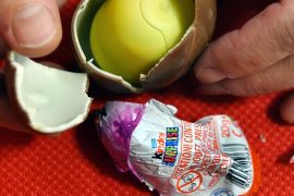 Salmonella in Kinder Products: Ferrero's Search Six Searches in Belgium and Luxembourg