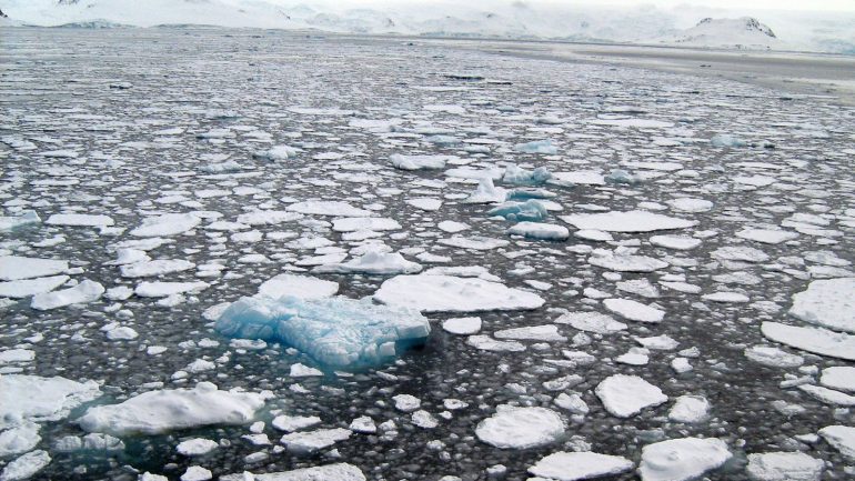 Scientists warn: "Arctic ice will soon be gone".  Europe fears "serious consequences"