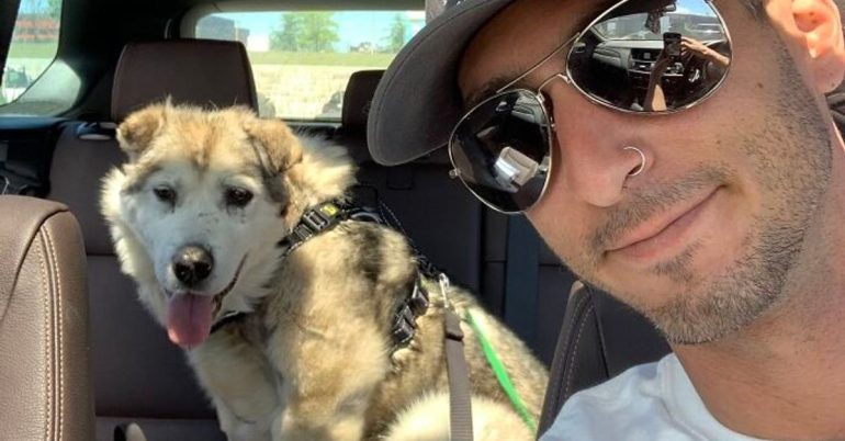 'Devastated' airline pilot makes big promise to senior dog who changed his life