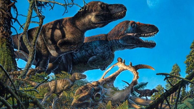 Are Tyrannosaurus Really Three Different Dinosaurs?  Serious controversy among researchers