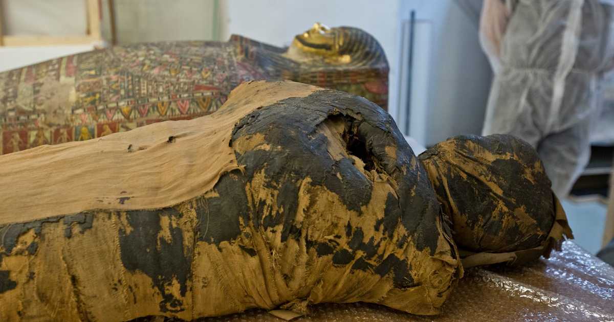 Pregnant Egyptian mummy wows scientists...with 'new discovery'

