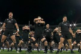 Rugby Championship. ''Imposteurs'', ''simples mortels'', les All Blacks allumés par la presse étrangère